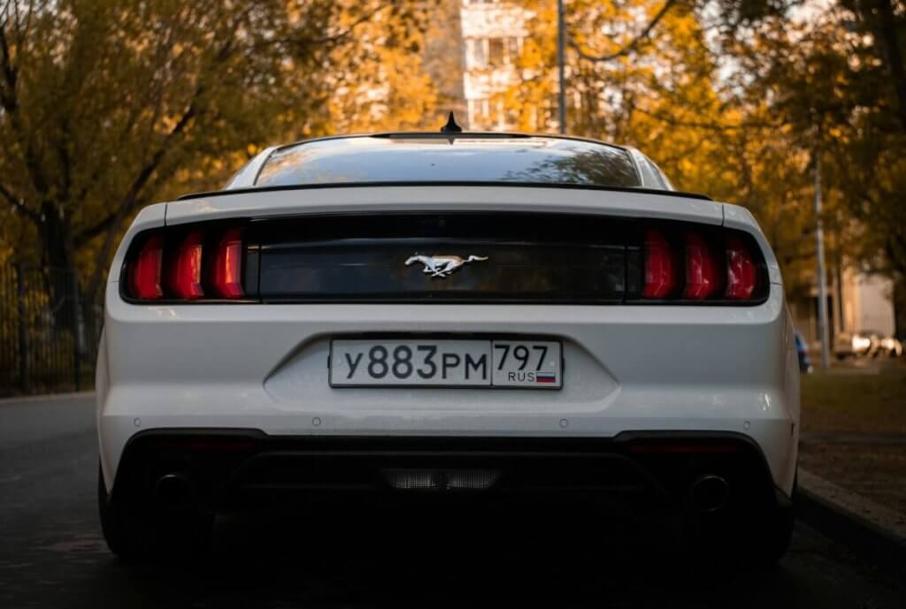 3D and 4D Car Plates